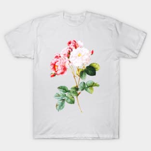 Vintage Red Roses Flower Illustration T-Shirt